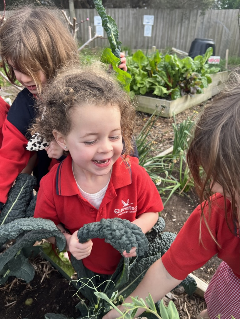 00 B5 DC55 060 D 4 FE3 93 F5 F6 AF04 A35109 1 105 c