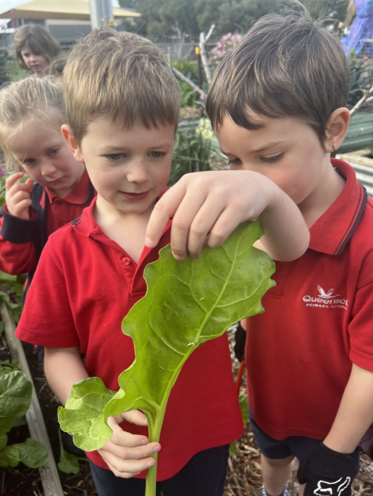 02 D19126 8105 4133 B8 FB F5 D2 C278 CDB2 1 105 c