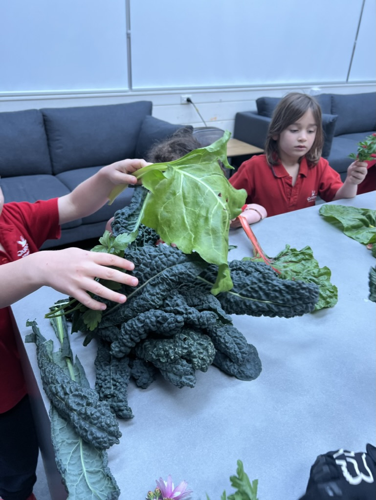 1419457 B 9744 4 E52 9368 2187 FB2 B08 D0 1 105 c