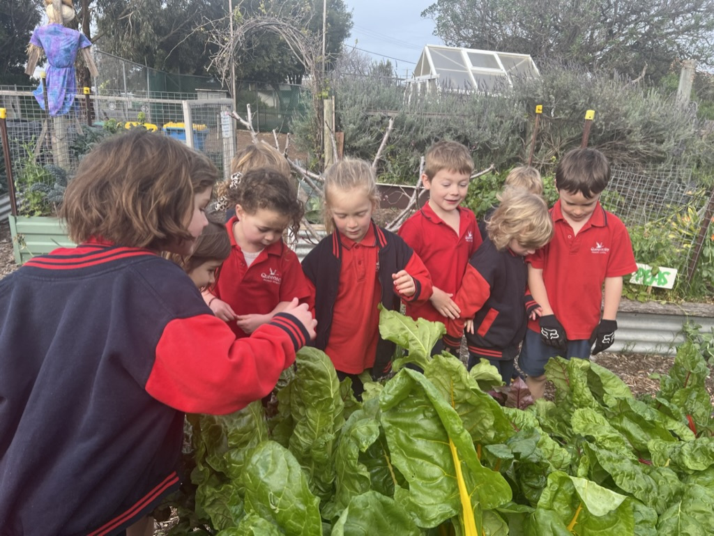 15 A00 DA5 A43 F 4686 84 B2 8 FACD5 CB9854 1 105 c