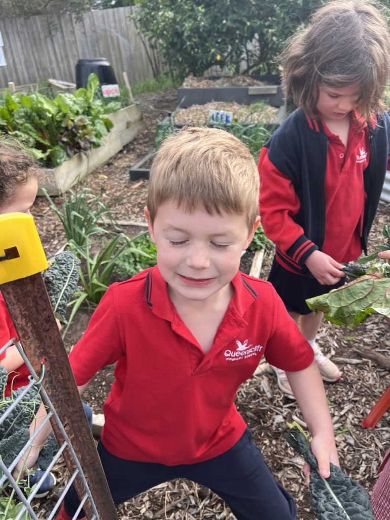 3554 FE86 61 B5 45 D1 A6 AC EAEF625 BAB92 1 105 c