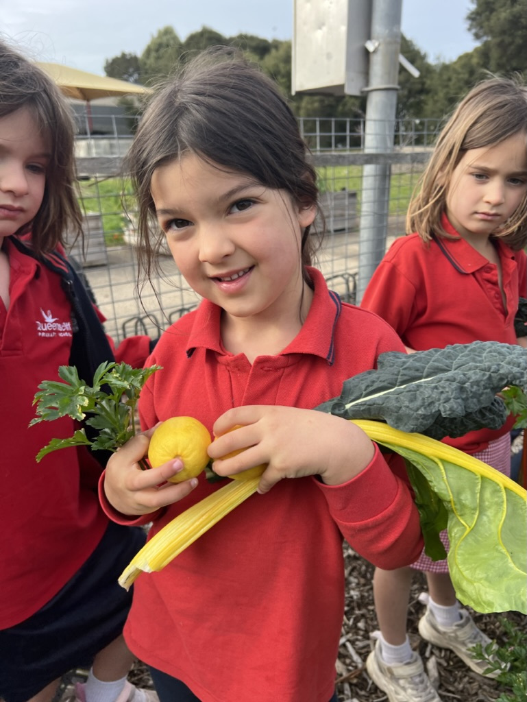 57 E58 CB9 6 E66 4913 A424 FE1 C7896 B3 C4 1 105 c