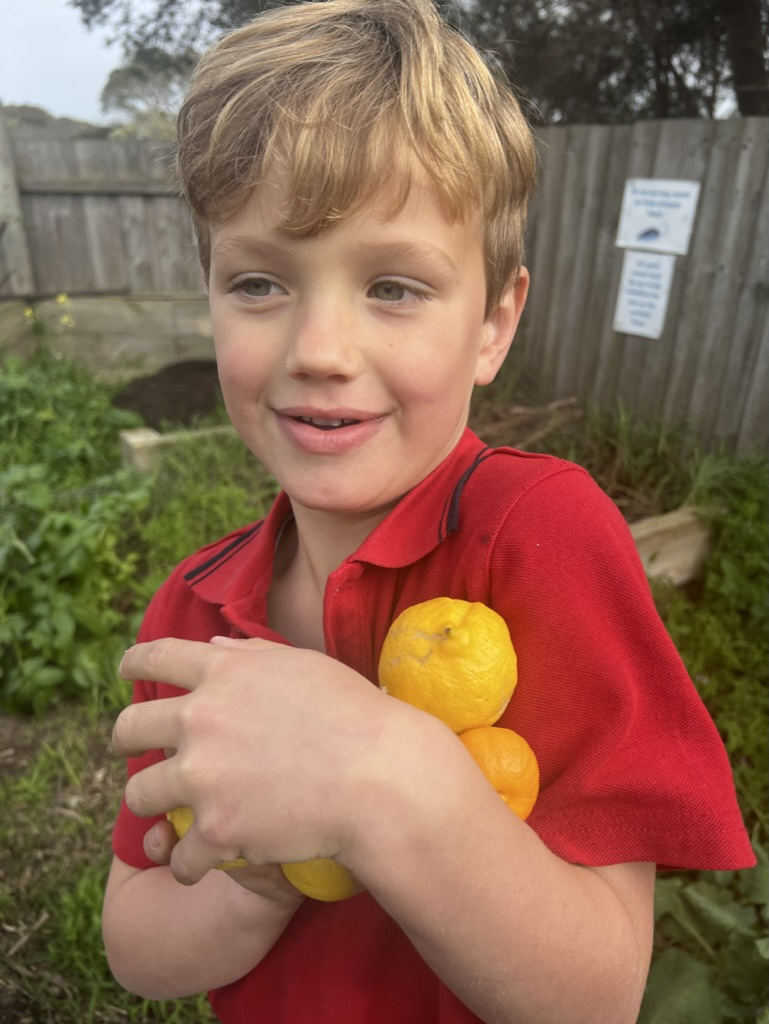 589 F6 F72 AAF6 4318 8 B35 71 E982 D80742 1 105 c