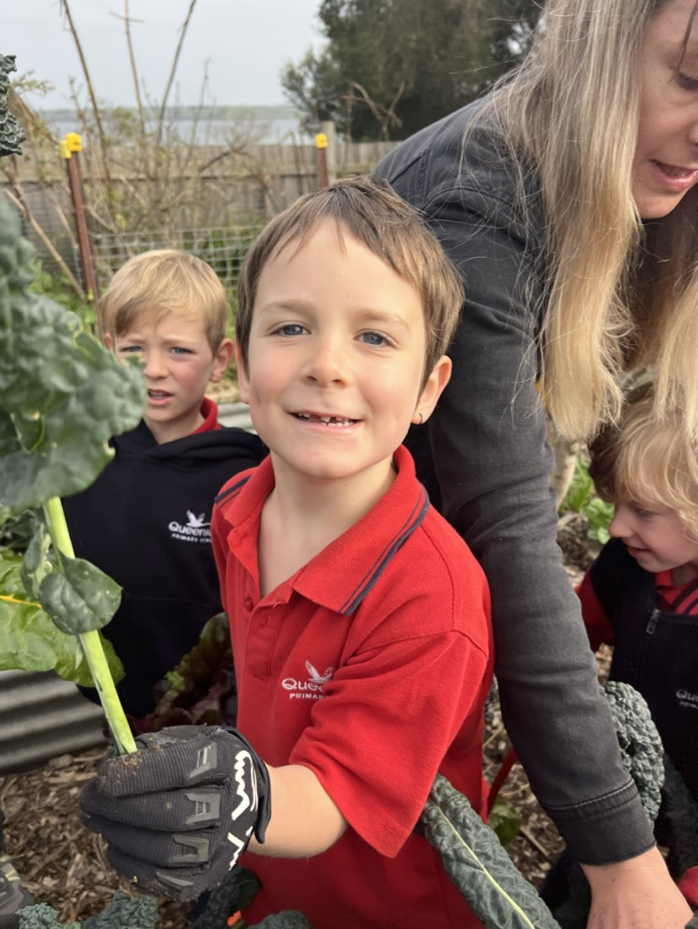 A3 C7 E243 C532 4 B38 8 E04 33 DA563903 A4 1 105 c