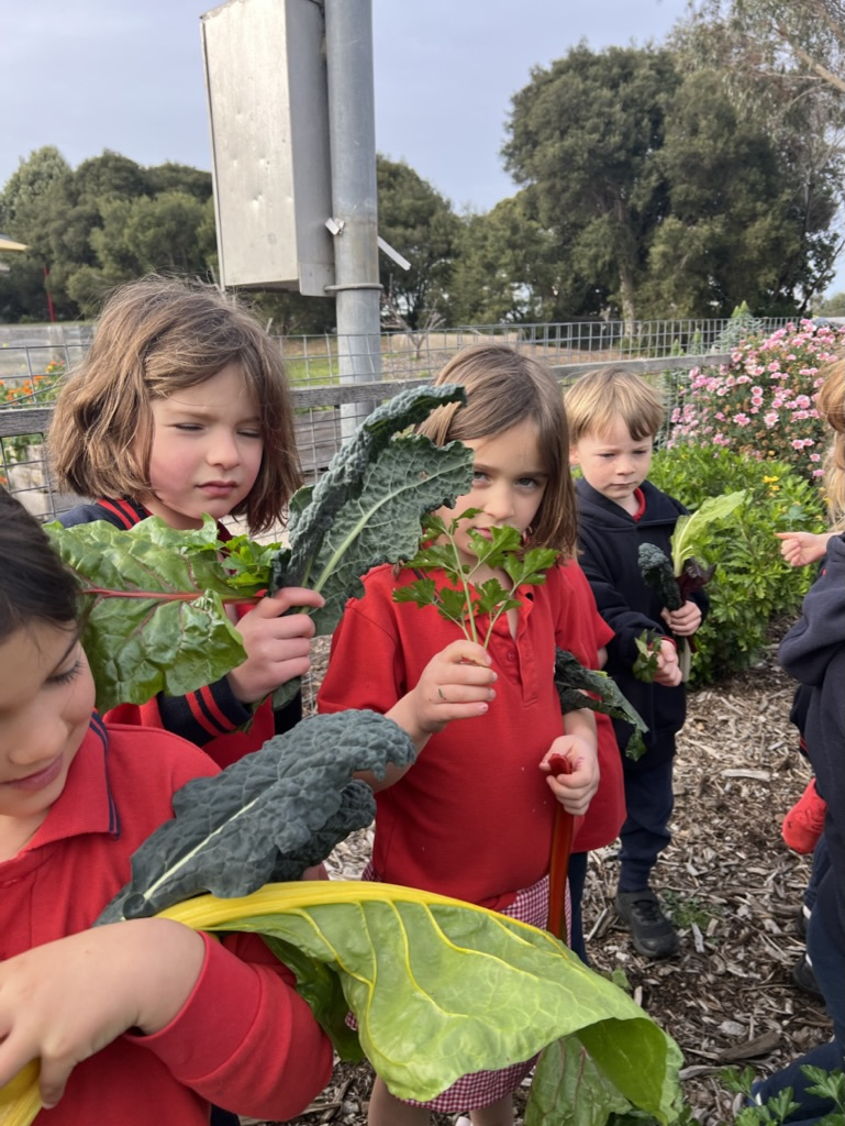 E3536362 DDEE 4 C1 E 91 D2 3978492 A9699 1 105 c