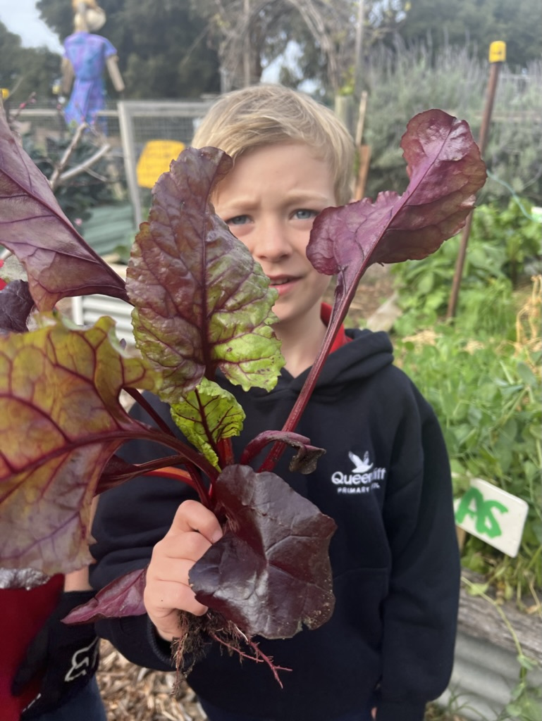 FDD6 C54 F C473 4610 A0 D3 7 D0 A12 EDCC94 1 105 c