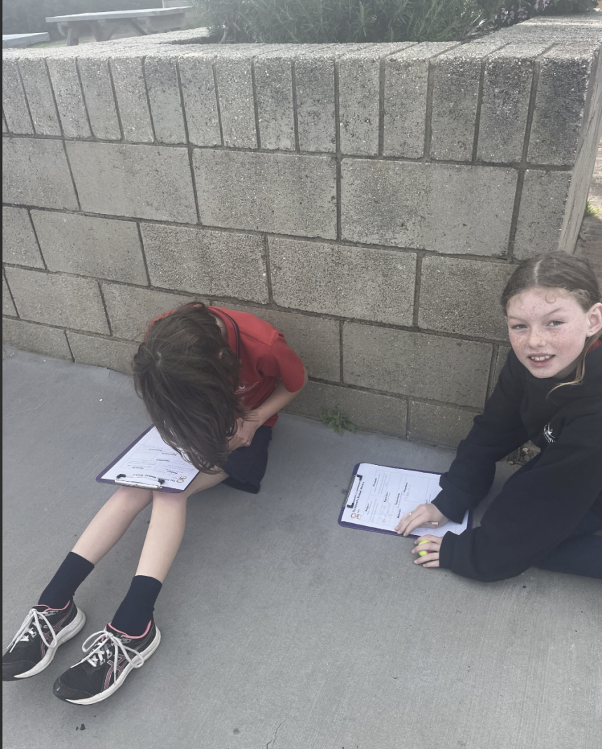 Screenshot 2024 12 01 at 1 08 13 pm