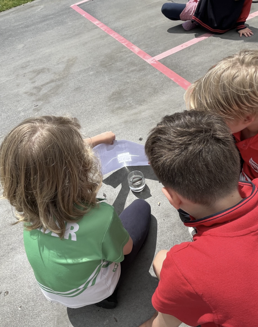 Screenshot 2024 12 01 at 1 09 23 pm