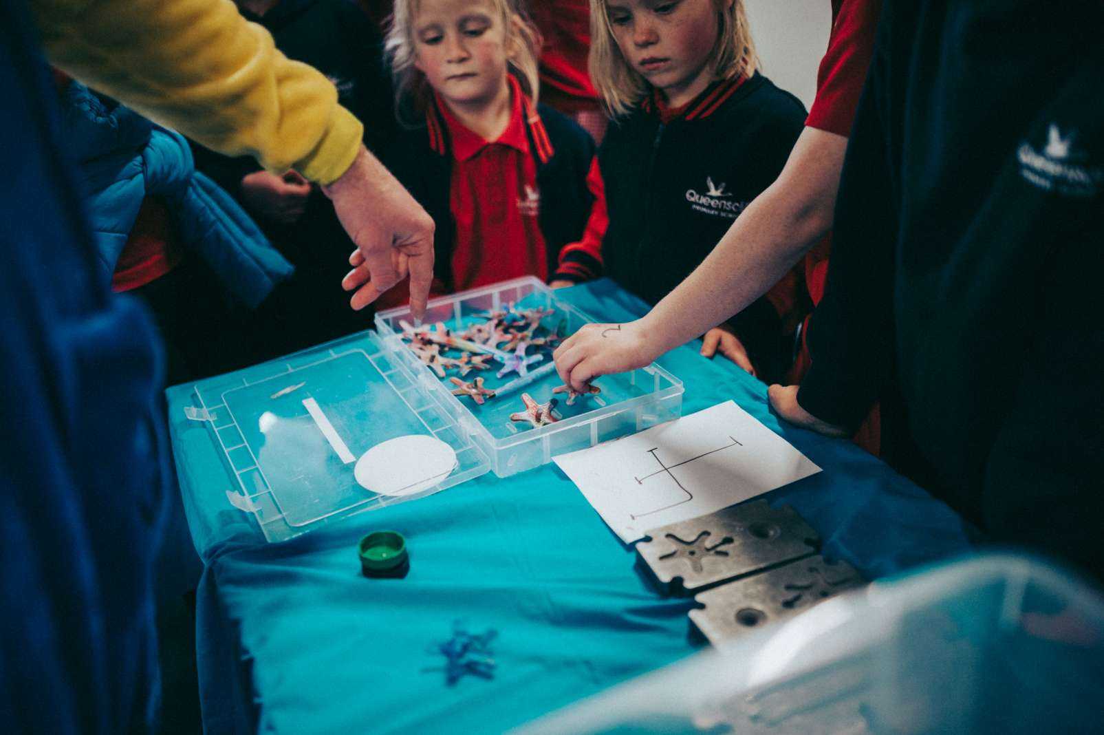 Science Day 52