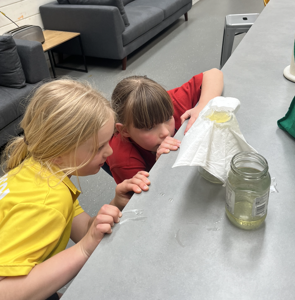 Screenshot 2024 09 02 at 8 03 15 AM