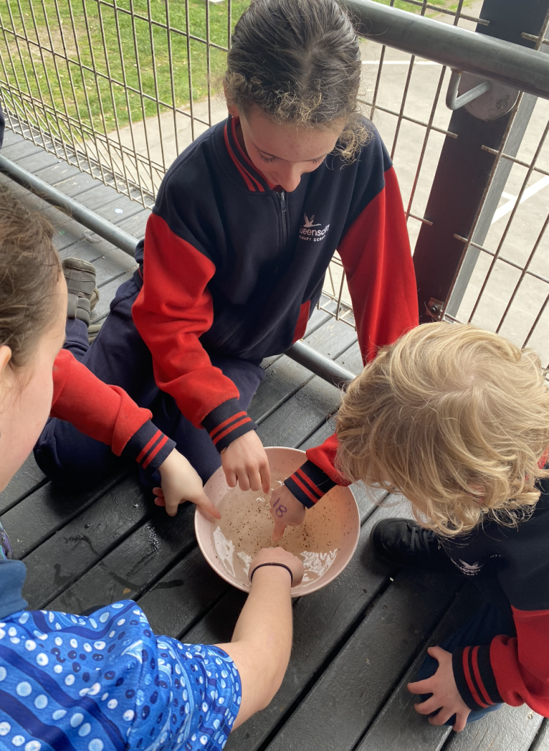 Screenshot 2024 09 02 at 8 03 19 AM