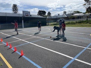Lawn Bowls 4